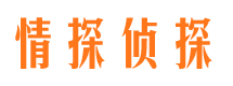 盘山侦探公司